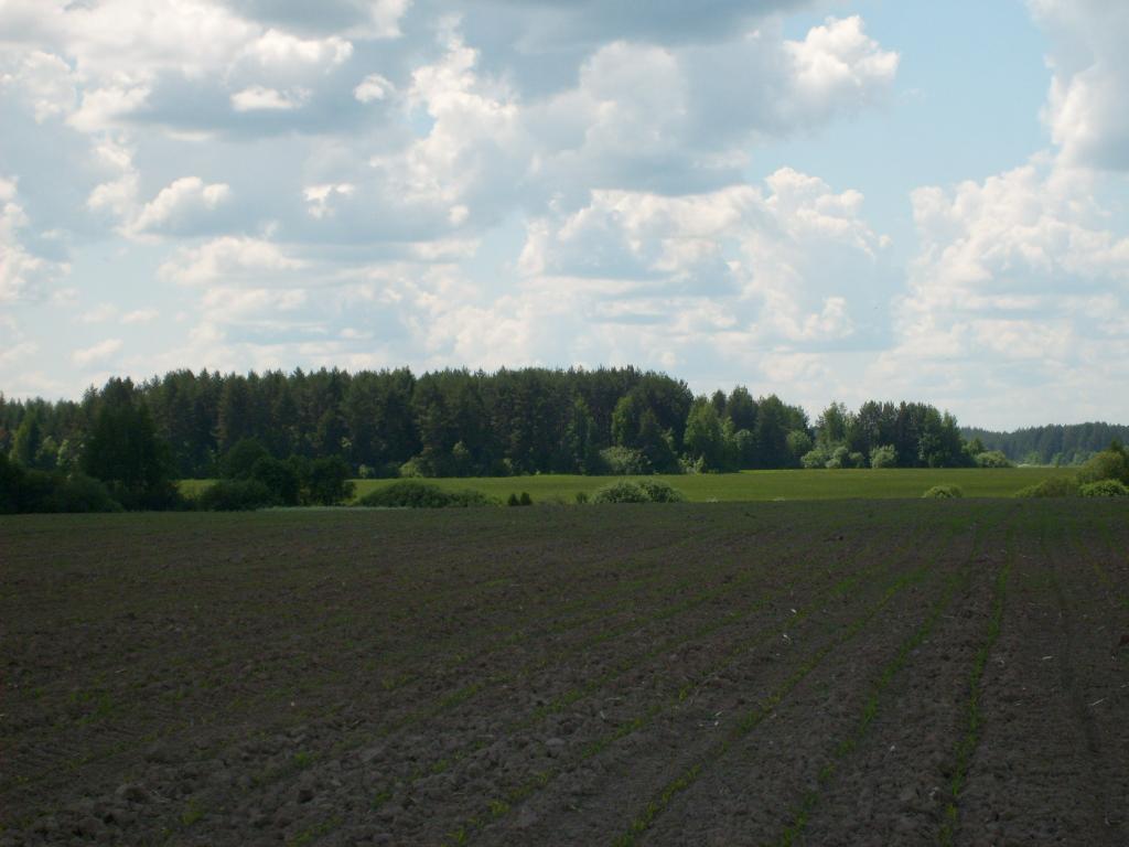 раздолье
