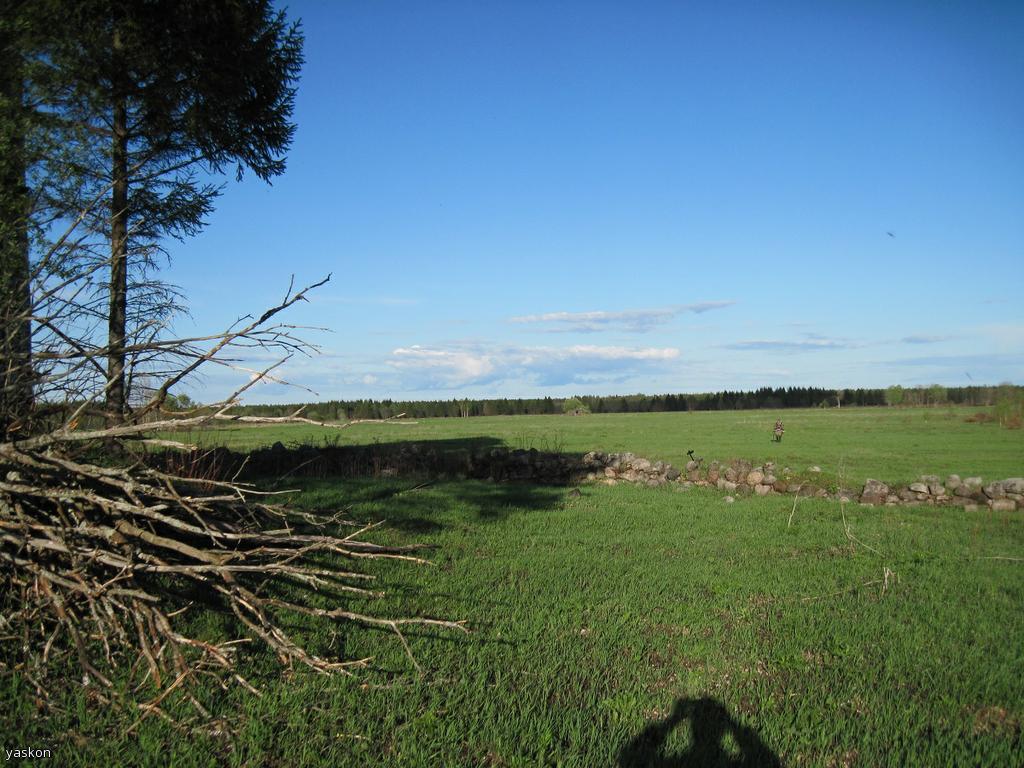 никого , кроме нас тут и небыло