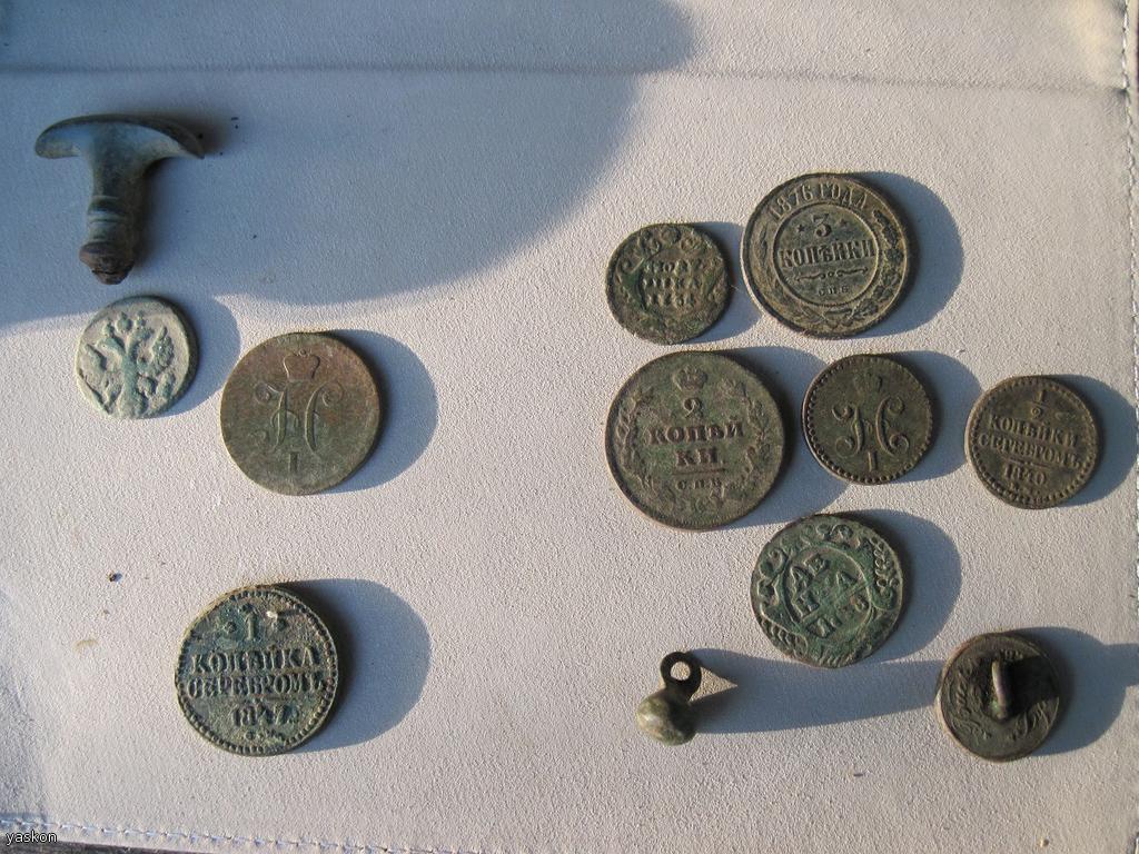 в песчаной почве сохран неплох