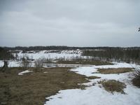 первые проталины