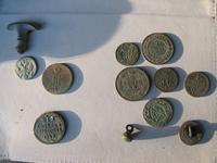 в песчаной почве сохран неплох