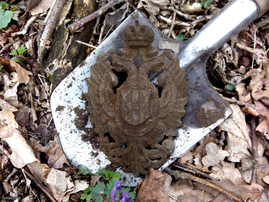 орел Австрия