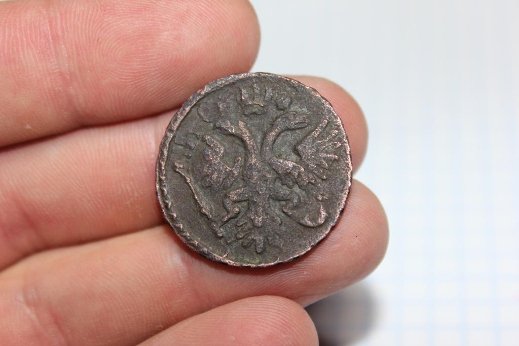 Денга1731