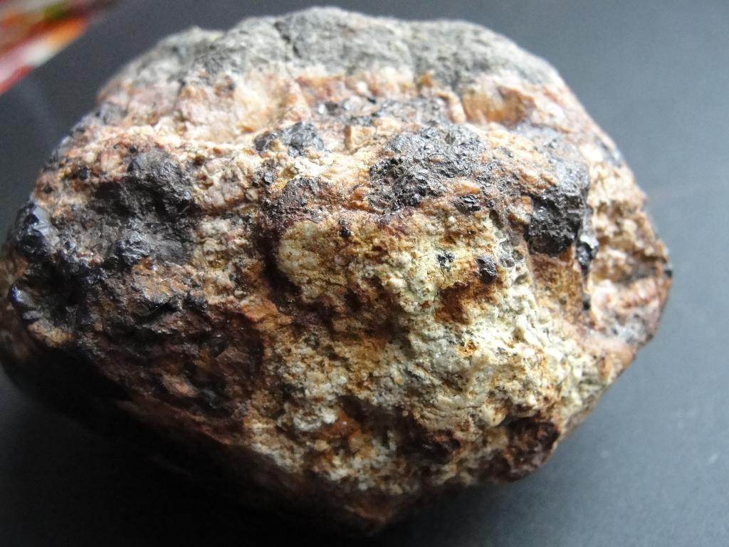 Самый крупный метеорит Германии выставили в музее